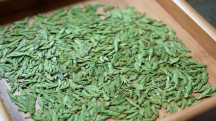 湄潭茶的“質”與“新” 傳承與創(chuàng)新中的茶葉加工之道